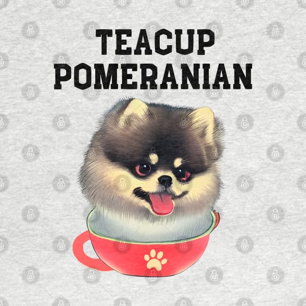 Adorable and Cute Teacup Pomeranian Puppy Fluffy Pomeranian Dog Owner by Mochabonk